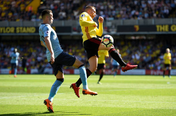 仅展示了他 仅展示了他